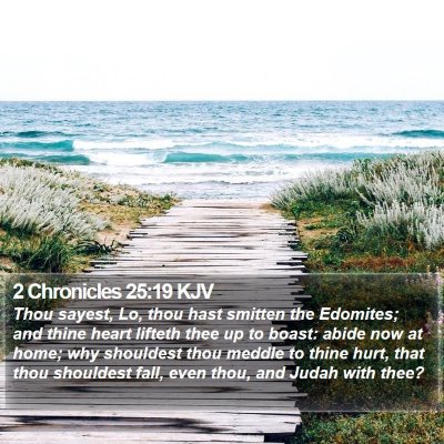 2 Chronicles 25:19 KJV Bible Verse Image