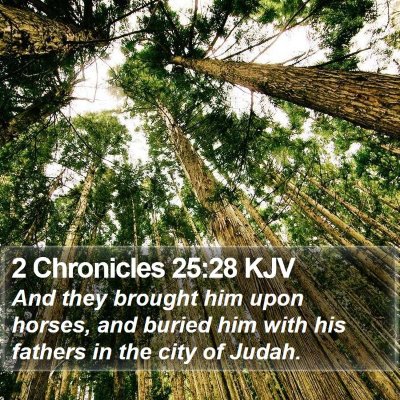 2 Chronicles 25:28 KJV Bible Verse Image