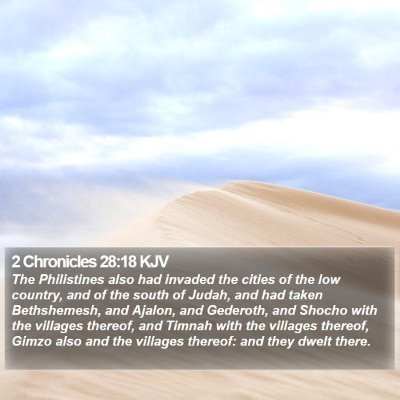 2 Chronicles 28:18 KJV Bible Verse Image