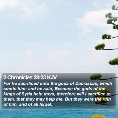 2 Chronicles 28:23 KJV Bible Verse Image
