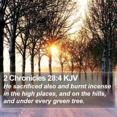 2 Chronicles 28:4 KJV Bible Verse Image