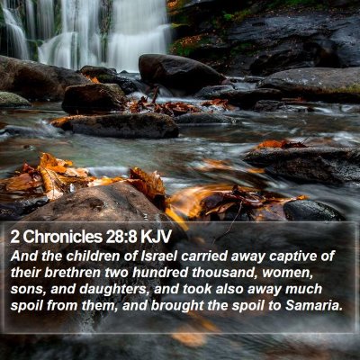 2 Chronicles 28:8 KJV Bible Verse Image