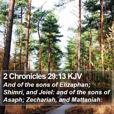 2 Chronicles 29:13 KJV Bible Verse Image