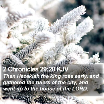 2 Chronicles 29:20 KJV Bible Verse Image