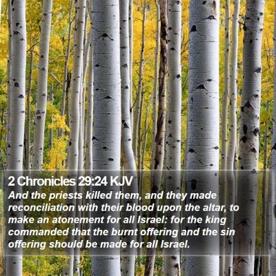 2 Chronicles 29:24 KJV Bible Verse Image
