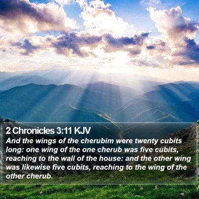 2 Chronicles 3:11 KJV Bible Verse Image