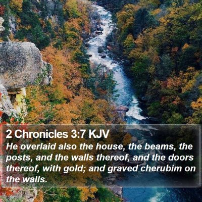 2 Chronicles 3:7 KJV Bible Verse Image