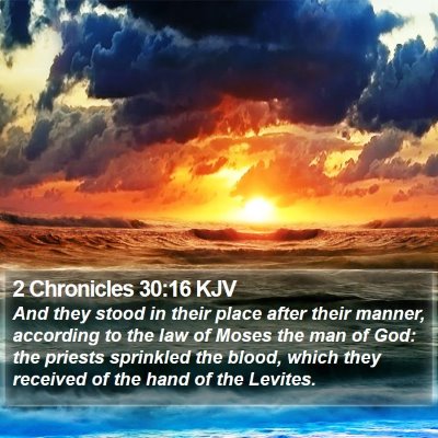 2 Chronicles 30:16 KJV Bible Verse Image