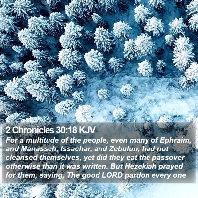 2 Chronicles 30:18 KJV Bible Verse Image
