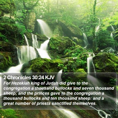 2 Chronicles 30:24 KJV Bible Verse Image