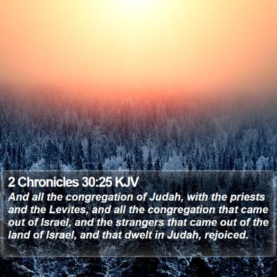 2 Chronicles 30:25 KJV Bible Verse Image