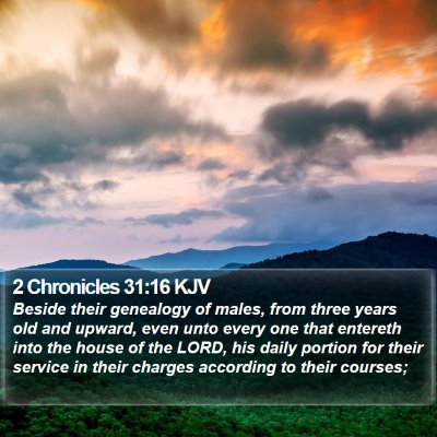 2 Chronicles 31:16 KJV Bible Verse Image