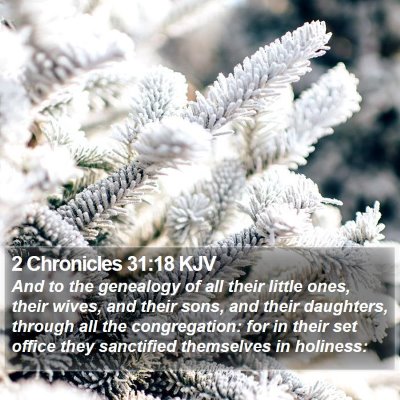 2 Chronicles 31:18 KJV Bible Verse Image