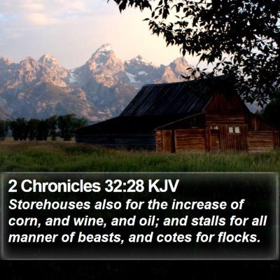 2 Chronicles 32:28 KJV Bible Verse Image