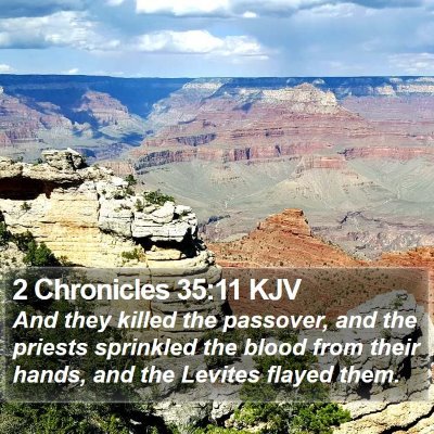 2 Chronicles 35:11 KJV Bible Verse Image