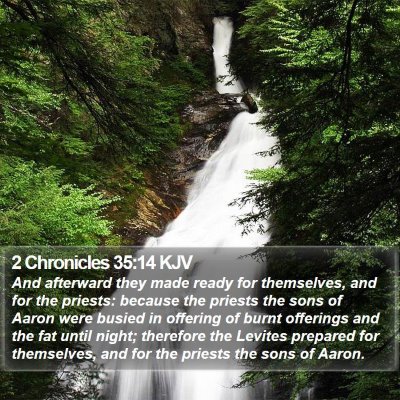 2 Chronicles 35:14 KJV Bible Verse Image