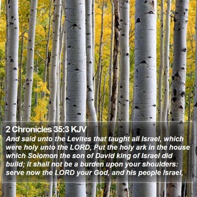2 Chronicles 35:3 KJV Bible Verse Image