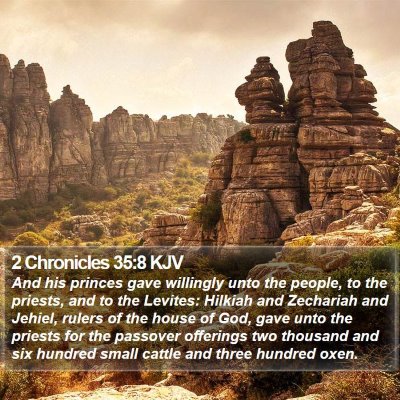 2 Chronicles 35:8 KJV Bible Verse Image