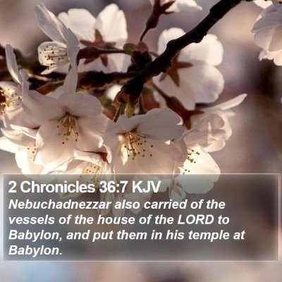 2 Chronicles 36:7 KJV Bible Verse Image