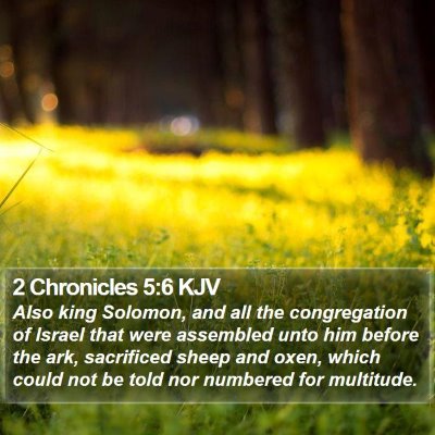 2 Chronicles 5:6 KJV Bible Verse Image