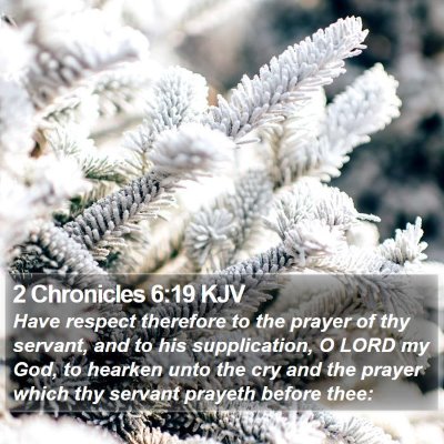 2 Chronicles 6:19 KJV Bible Verse Image