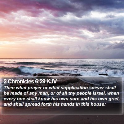 2 Chronicles 6:29 KJV Bible Verse Image