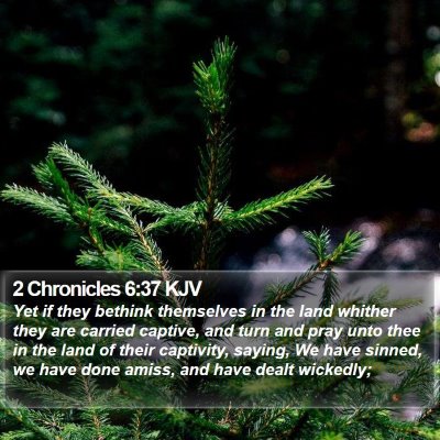 2 Chronicles 6:37 KJV Bible Verse Image