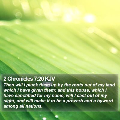 2 Chronicles 7:20 KJV Bible Verse Image