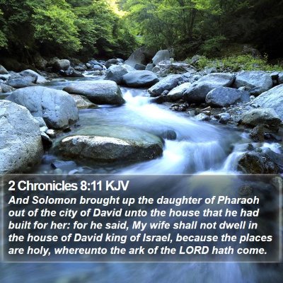 2 Chronicles 8:11 KJV Bible Verse Image