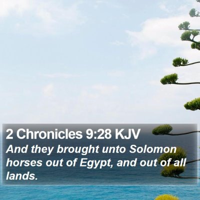 2 Chronicles 9:28 KJV Bible Verse Image