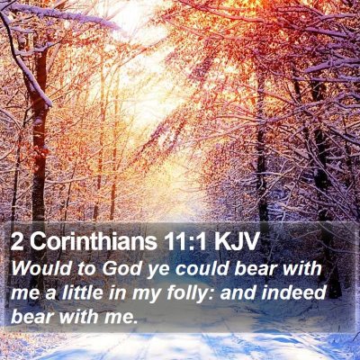 2 Corinthians 11:1 KJV Bible Verse Image