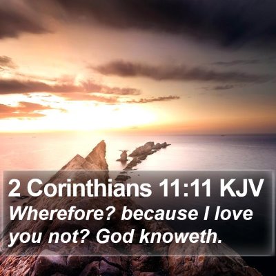 2 Corinthians 11:11 KJV Bible Verse Image