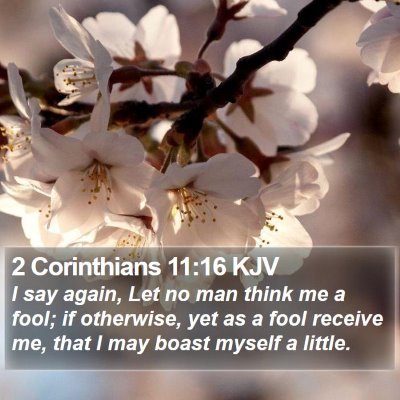 2 Corinthians 11:16 KJV Bible Verse Image