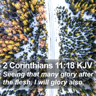 2 Corinthians 11:18 KJV Bible Verse Image
