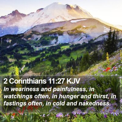 2 Corinthians 11:27 KJV Bible Verse Image