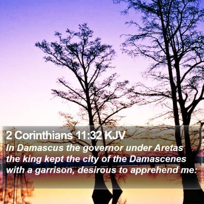 2 Corinthians 11:32 KJV Bible Verse Image