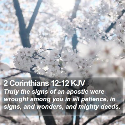 2 Corinthians 12:12 KJV Bible Verse Image