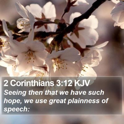 2 Corinthians 3:12 KJV Bible Verse Image