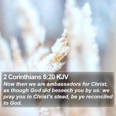 2 Corinthians 5:20 KJV Bible Verse Image