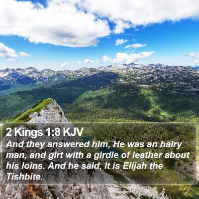 2 Kings 1:8 KJV Bible Verse Image