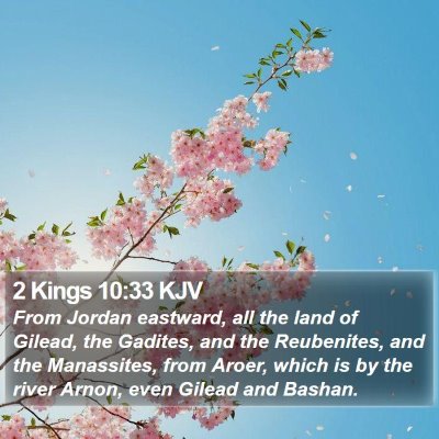 2 Kings 10:33 KJV Bible Verse Image