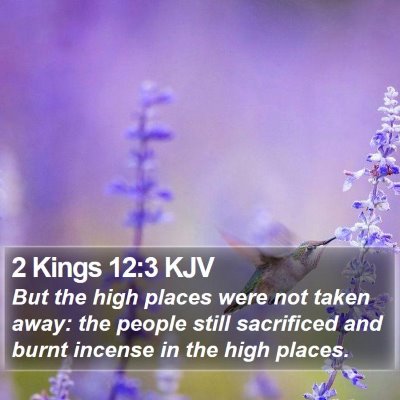 2 Kings 12:3 KJV Bible Verse Image
