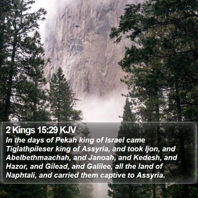2 Kings 15:29 KJV Bible Verse Image