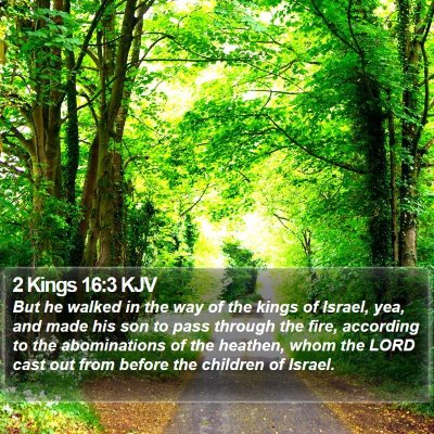 2 Kings 16:3 KJV Bible Verse Image