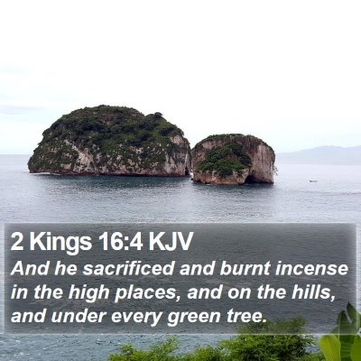 2 Kings 16:4 KJV Bible Verse Image