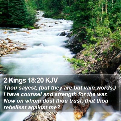 2 Kings 18:20 KJV Bible Verse Image