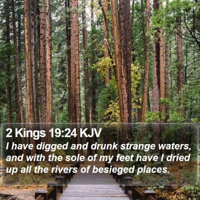 2 Kings 19:24 KJV Bible Verse Image
