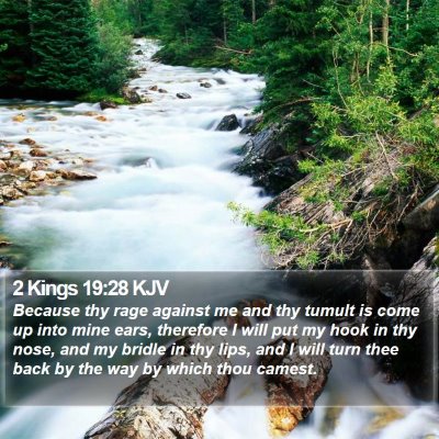 2 Kings 19:28 KJV Bible Verse Image