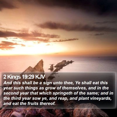 2 Kings 19:29 KJV Bible Verse Image