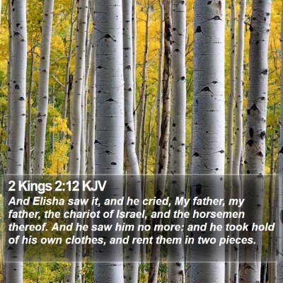 2 Kings 2:12 KJV Bible Verse Image